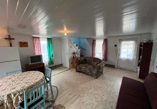 Maison à vendre - 1703 Route 277, Lac-Etchemin, G0R 1S0