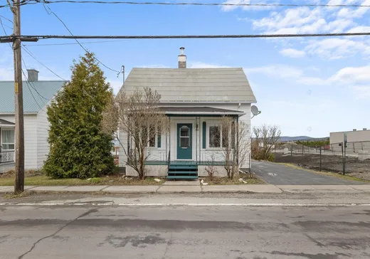Maison à vendre - 1515 Rue Principale, St-Philemon, G0R 4A0