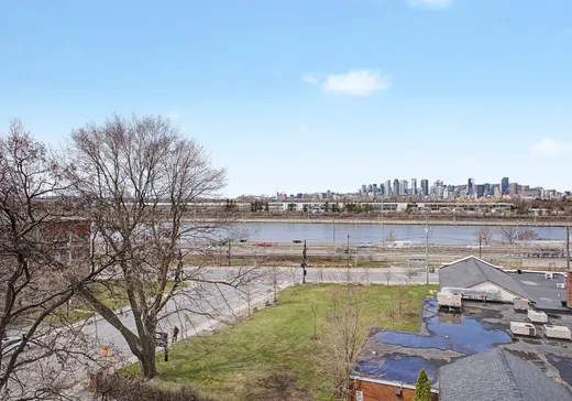 Condo for sale - 6 Av. Argyle, Longueuil, J4P2H5