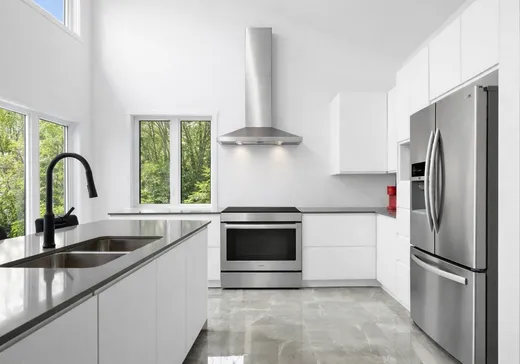 Maison à vendre - 65 Ch. Carlton-Oliver, Mansonville, J0E 1X0