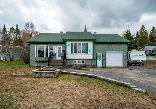 Maison à vendre - 133 Rue Marguerite, Sainte-Agathe-des-Monts, J8C 3M5