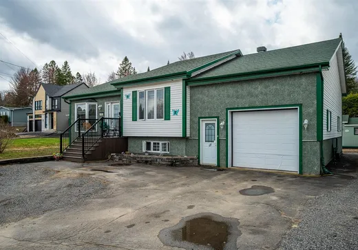 Maison à vendre - 133 Rue Marguerite, Sainte-Agathe-des-Monts, J8C 3M5