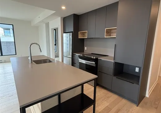Condo for sale - 112 Ch. de la Pointe-Nord, App. 501, Montreal (Verdun), H3E 0E3
