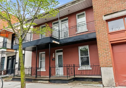 Two or more stories for sale - 1674 Rue Gilford, Montreal (Plateau-Mont-Royal), H2J1S5
