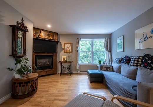 Maison à vendre - 1476 Rue Ovide, Val David, J0T 2N0
