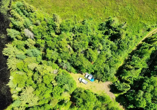 Maison à vendre - 2670 Mtée Fugère, Mont-Tremblant, J0T 1H0