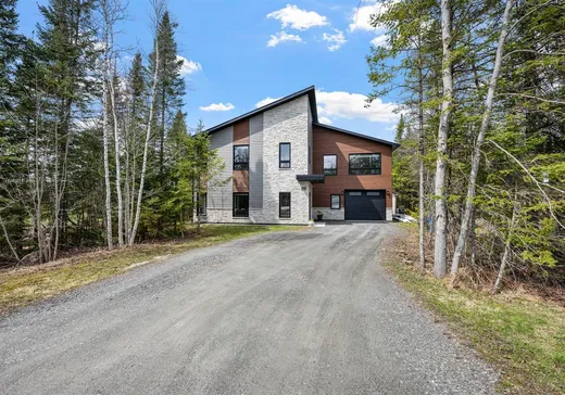 Maison à étages à vendre - 119 Rue de VilleBois, Eastman, J0E1P0