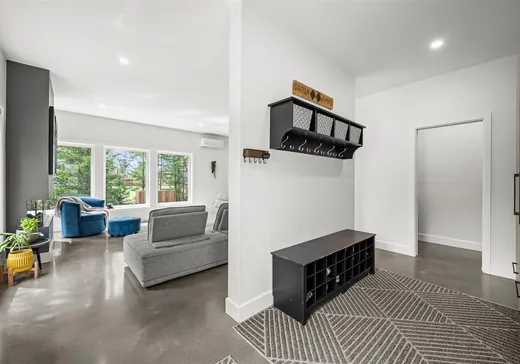 Maison à vendre - 119 Rue de VilleBois, Eastman, J0E 1P0