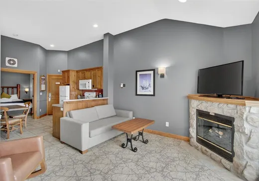 Condo à vendre - 2396 Rue Labelle, App. 323, Mont-Tremblant, J8E 1T8