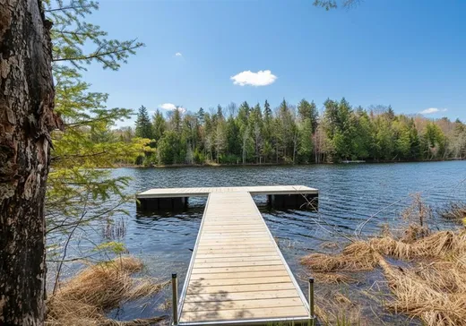 Maison à étages à vendre - 583 Ch. Nephtalie-Maher, Mont-Tremblant, J0T1H0