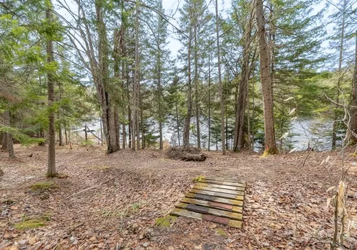 Maison à vendre - 583 Ch. Nephtalie-Maher, Mont-Tremblant, J0T 1H0