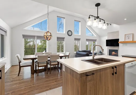Maison à étages à vendre - 10 Rue des Gemmes, Val David, J0T2N0