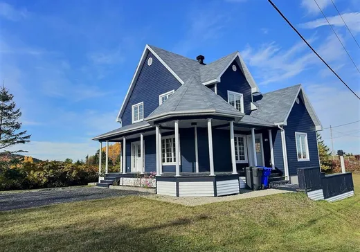 House for sale - 89 Rue Principale, L'Anse-Pleureuse, G0E 1Y0
