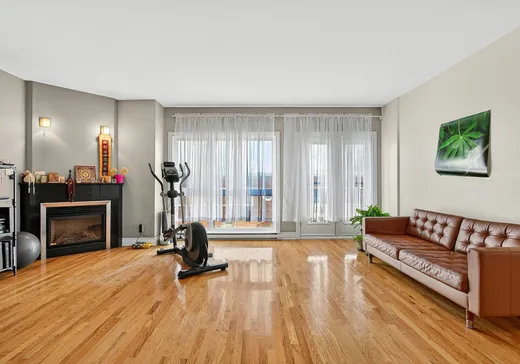 Condo à vendre - 3925 Av. du Mont-Royal E., Montréal (Plateau-Mont-Royal), H1X 1Y2