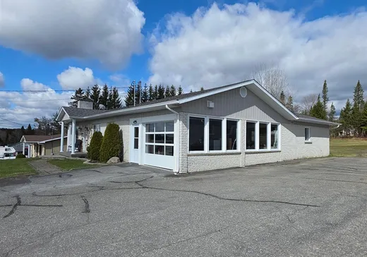 House for sale - 132 Rue de la Fabrique, Saint-Luc-de-Bellechasse, G0R 1L0