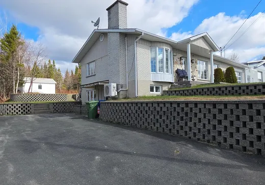 House for sale - 132 Rue de la Fabrique, Saint-Luc-de-Bellechasse, G0R 1L0