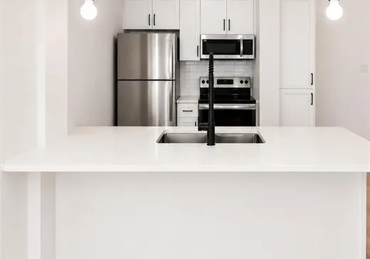 Condo à vendre - 1225 Rue Notre-Dame O., App. 417, Montréal (Centreville), H3C 6S3