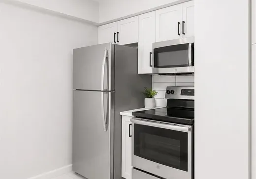 Condo à vendre - 1225 Rue Notre-Dame O., App. 417, Montréal (Centreville), H3C 6S3