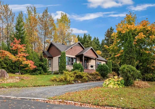 Maison à vendre - 26 Rue des Gradins, St-Ferreol-les-Neiges, G0A 3R0