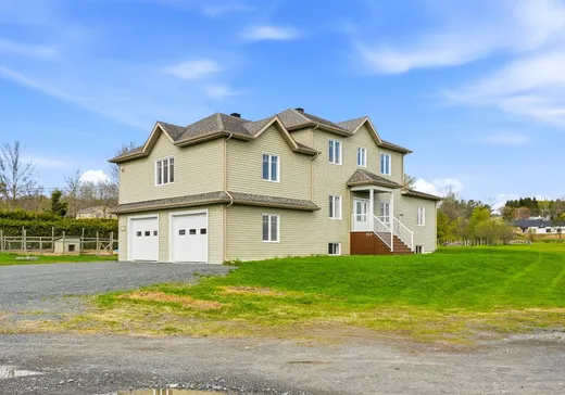 House for sale - 141 Rue Therrien, St-Francois-Xavier-de-Brompton, J0B 2V0
