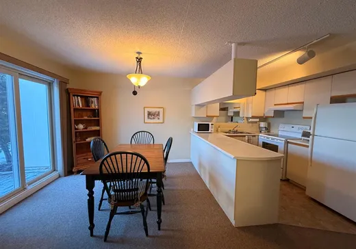 Condo for sale - 563 Ch. du Skieur, Saint-Sauveur, J0R 1R3