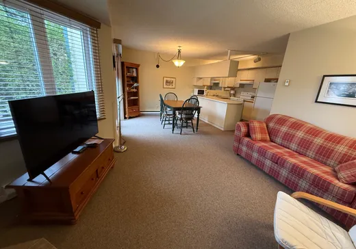 Condo for sale - 563 Ch. du Skieur, Saint-Sauveur, J0R 1R3