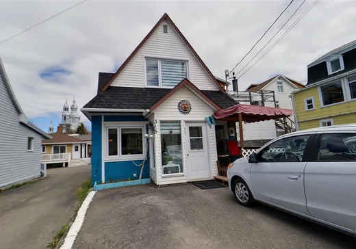 Un étage et demi à vendre - 315 Rue Vézina, Saint-Pierre-de-Lamy, G0L4K0
