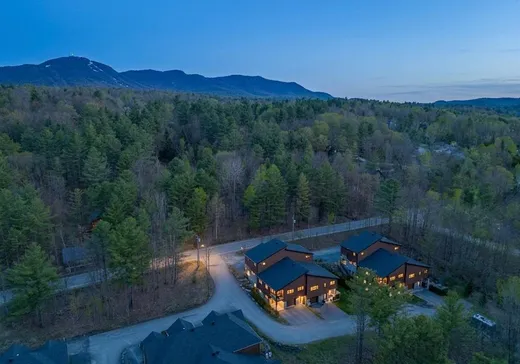 Condo à vendre - 1100 Ch. de la Montagne, Magog, J1X 6X9