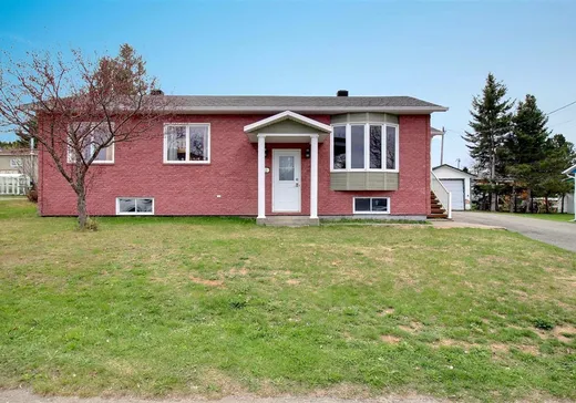 Maison à vendre - 542 Rue de la Fabrique, Pohénégamook, G0L 1J0