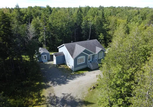 House for sale - 51 Rue de l'Horizon, Eastman, J0E 1P0
