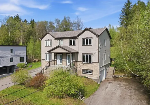 Maison à vendre - 640 Ch. Duplessis, Sherbrooke, J1E 3G1