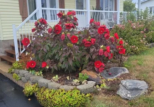 Maison à vendre - 463 Rue des Bosquets, Ste-Marie-De-Blandford, G0X 2W0