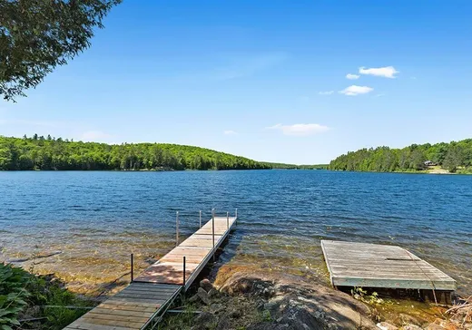 House for sale - 204 Ch. Bellemore, Otter Lake, J0X 2P0