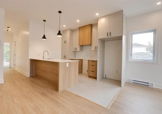 Condo for sale - 11379 Av. L'Archevêque, Montreal (North), H1H 3B1