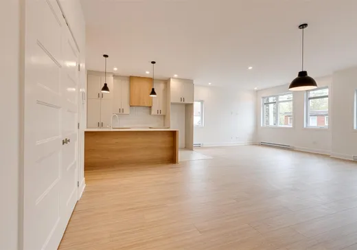Condo for sale - 11379 Av. L'Archevêque, Montreal (North), H1H 3B1