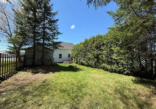 House for sale - 597 Rue St-Alphonse S., Thetford-Mines, G6G 3W2