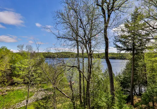 Maison à vendre - 165 Ch. Chisholm, Lac-des-Seize-Iles, J0T 2M0