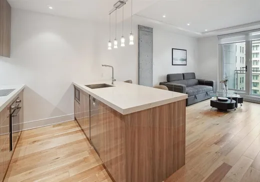 Condo à vendre - 1188 Av. Union, App. 1011, Montréal (Centreville), H3B 0E5
