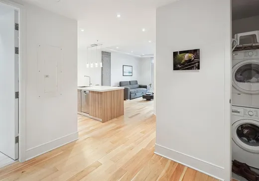 Condo à vendre - 1188 Av. Union, App. 1011, Montréal (Centreville), H3B 0E5