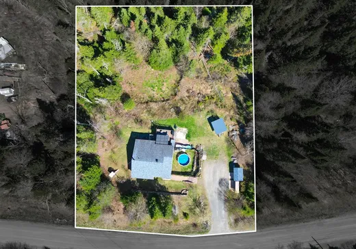 Maison à vendre - 711 Rue Mary, Sainte-Agathe-des-Monts, J8C 2Z7