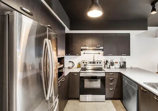 Condo à vendre - 1606 Rue Ottawa, App. 305, Montréal (Centreville), H3C 0V7