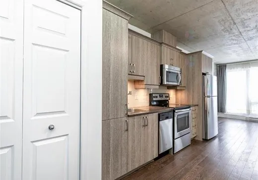 Condo à vendre - 1205 Rue MacKay, App. 109, Montréal (Ville-Marie), H3G 0C5