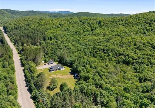 Fermette à vendre - 481Z Route de la Montagne-d'Argent, Mont-Tremblant, J0T 1M0