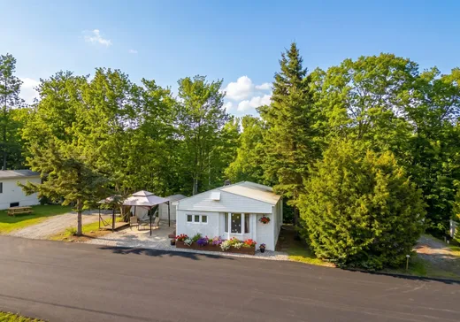House for sale - 220 Av. du Bruant, Sainte-Agathe-des-Monts, J8C 2Z7