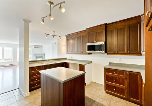Condo à vendre - 3002 Rue du Sauvignon, Sherbrooke, J1L 0A2