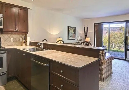 Condo à vendre - 270 Rue du Mont-Plaisant, App. 6, Mont-Tremblant, J8E 1L2