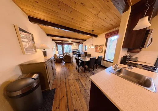 Condo for sale - 1392-1394 Ch. de la Baie-du-Milieu, Saint-Michel-des-Saints, J0K 3B0