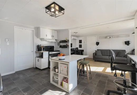 Maison à vendre - 466 Rue de l'Assomption, Sherbrooke, J1E 2M1