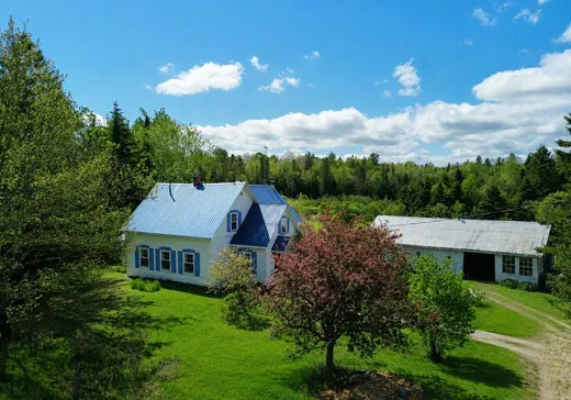 Maison à étages à vendre - 583 Rg St-Denis, Saint-André-Avellin, J0V1W0