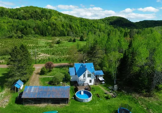Maison à vendre - 583 Rg St-Denis, Saint-André-Avellin, J0V 1W0